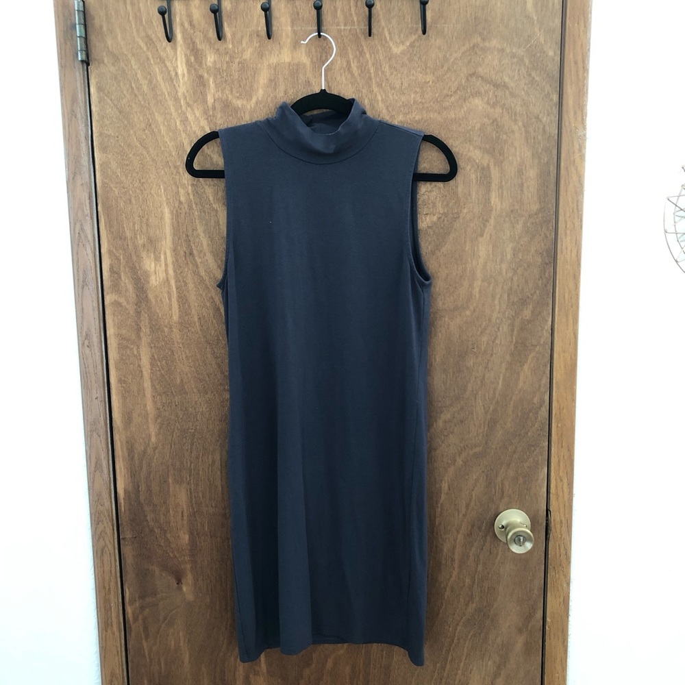 Aritzia Tna turtleneck dress Sz L